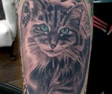 cat pet portrait tattoo realism colour