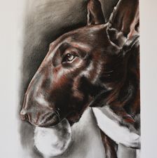 Bully (charcoal)