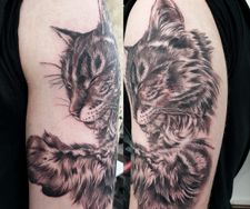 cat pet portrait realism tattoo manchester