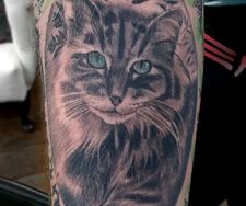 cat pet portrait tattoo realism colour