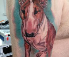 english bull terrier ebt dog colour realism pet portrait tattoo manche