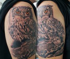 large owl half sleeve tattoo realism bird tattoo manchester