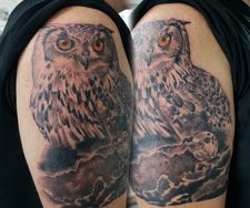large owl half sleeve tattoo realism bird tattoo manchester