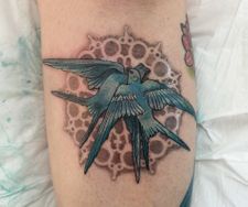 swallows birds tattoo leg piece mandala colour manchester